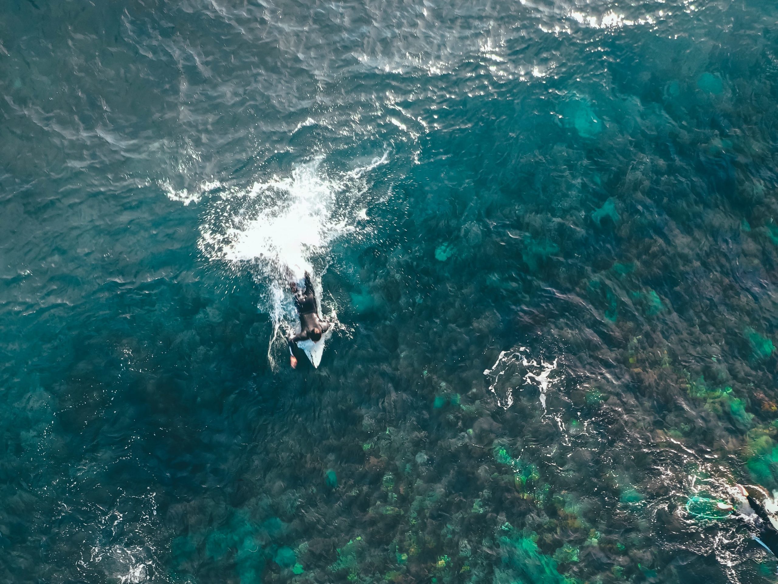 Ein Surfer startet eine Welle an. Selbst bei kristallklarem Wasser kann es zu Infektionen eines Reefcuts kommen.